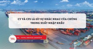 CY và CFS là gì. Sự khác nhau của chúng trong xuất nhập khẩu