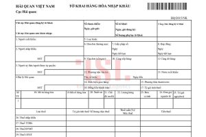 Hướng dẫn tra cứu tờ khai hải quan nhanh chóng, chính xác