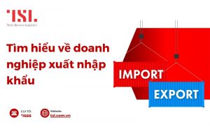Tìm hiểu về các doanh nghiệp xuất nhập khẩu