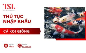 Làm thủ tục nhập khẩu cá Koi giống đúng quy định
