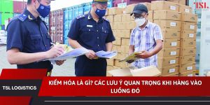 Kiểm hóa là gì-Các lưu ý quan trọng khi hàng vào luồng đỏ