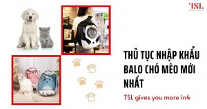 Thủ tục nhập khẩu balo chó mèo mới nhất