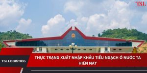Thực trạng xuất nhập khẩu tiểu ngạch ở nước ta hiện nay