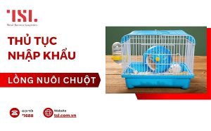 Thủ tục nhập khẩu lồng nuôi chuột Hamster