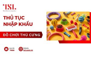 Thủ tục nhập khẩu đồ chơi thú cưng nhanh chóng, đơn giản