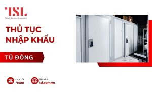 Thủ tục nhập khẩu tủ đông theo chuẩn quy định 2025