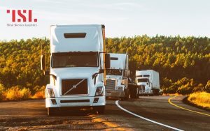 Vận tải Bắc Nam