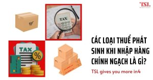 Các loại thuế phát sinh khi nhập hàng chính ngạch là gì