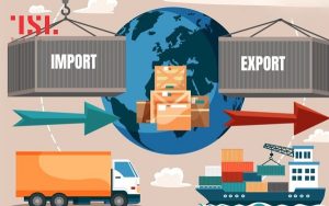 D/O phát hành bởi các hãng tàu