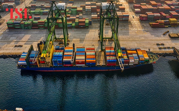 Có những loại vận đơn đường biển nào - 2