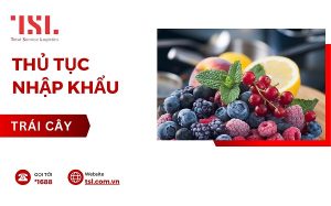 Thủ tục nhập khẩu trái cây đông lạnh vào Việt Nam chi tiết đầy đủ