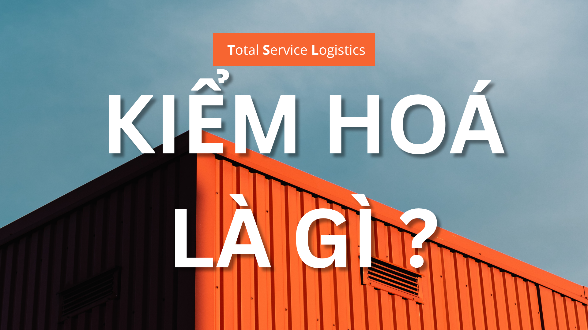 Kiểm hoá Là Gì?