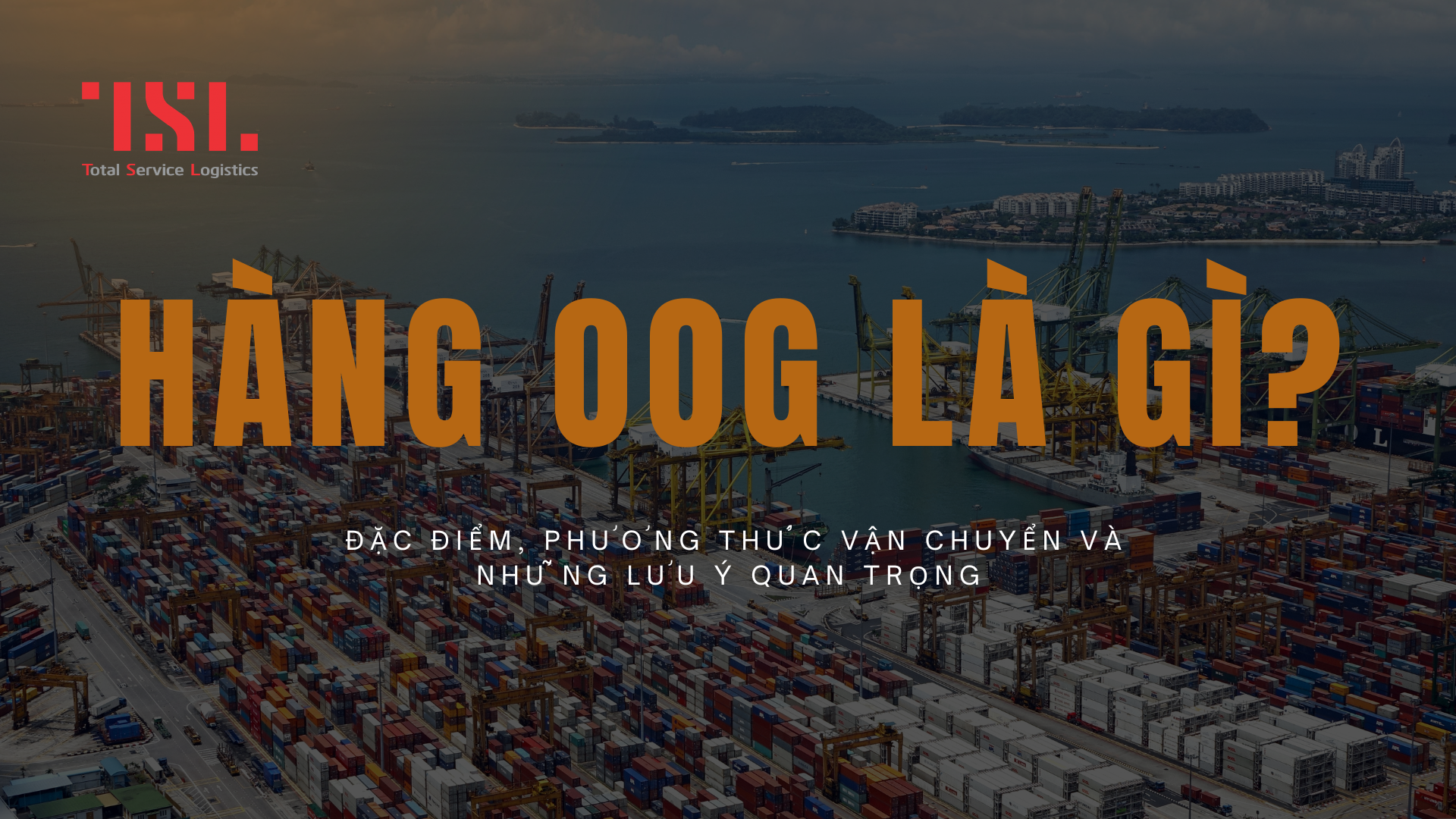 Hàng OOG Là Gì?